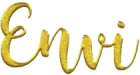 Envi